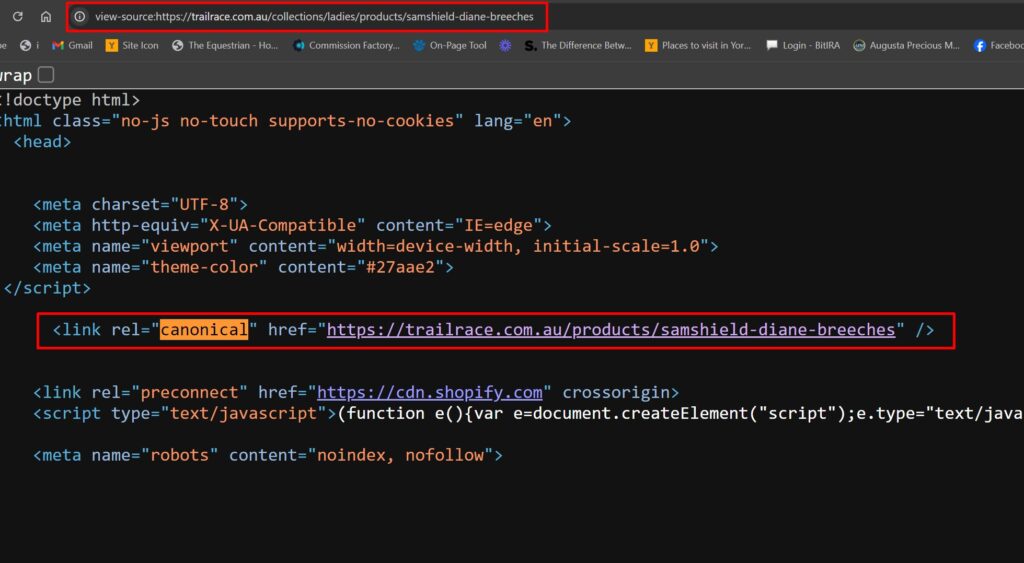 source code of a Shopify canonical product page URL